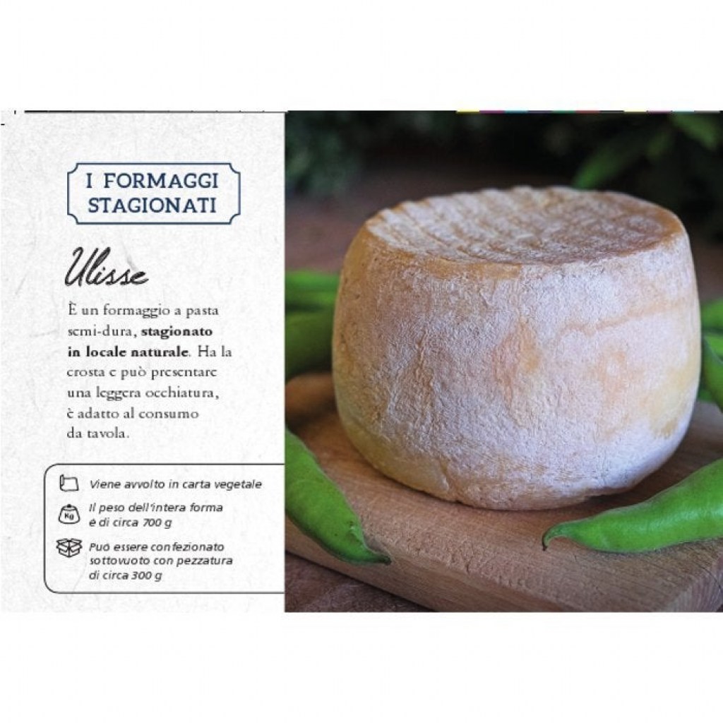 Ulisse formaggio di capra a pasta semi dura